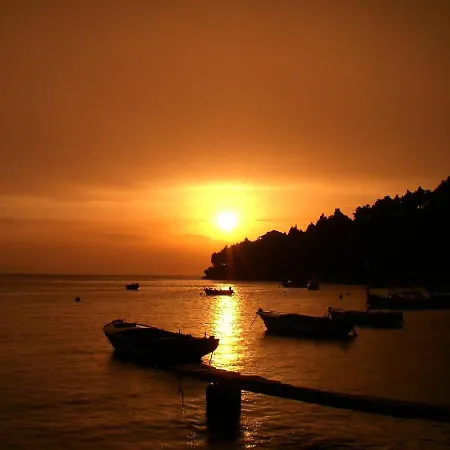 230 Mestro Konukevi 3*